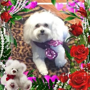 Meet your Posher, Jackie